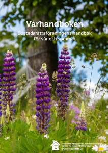 Handbok guidar föreningen genom vår och sommar